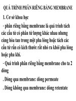 QUÁ TRÌNH PHÂN RIÊNG BẰNG MEMBRANE