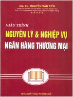 Giáo trình Nguyên lý và nghiệp vụ ngân hàng thương mại