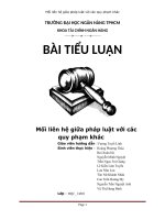 Mối liên hệ giữa pháp luật với các quy phạm khác