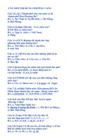 Câu hỏi ngoại khóa rung chuông vàng tiểu học