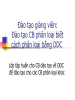 Đào tạo giảng viên:  Đào tạo CB phân loại biết cách phân loại bằng DDC Lớp tập huấn cho CB đào tạo về DDC để đào tạo cho các CB phân loại khác