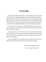 Thể hiện bản vẽ thiết kế hình học tuyến đường trong civil 3d theo tiêu chuẩn việt nam