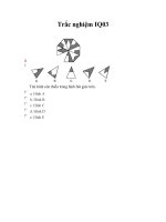 Một số câu hỏi trắc nghiệm IQ