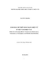 Ảnh báo chí trên báo mạng điện tử ở Việt Nam hiện nay (khảo sát các báo mạng điện tử