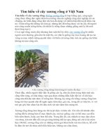 Tìm hiểu về cây xương rồng ở việt nam