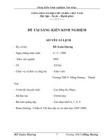 SKKN một số biện pháp về áp dụng công nghệ thông tin vào giảng dạy bộ môn âm nhạc ở THCS