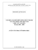 Văn hoá Nam Bộ trên sóng phát thanh của Đài tiếng nói Việt Nam khu vực Nam Bộ (từ năm 2001-2005