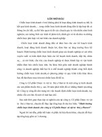 Định hướng chiến lược kinh doanh cho công ty Cổ phần Dược và vật tư thú y Hanvet