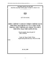 Điều chỉnh và hoàn thiện chính sách thương mại dịch vụ của Việt Nam trong tiến trình gia nhập tổ chức thương mại thế giới (WTO