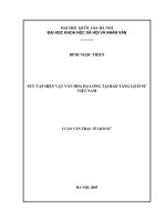 Sưu tập hiện vật văn hóa Hạ Long tại Bảo tàng Lịch sử Việt Nam