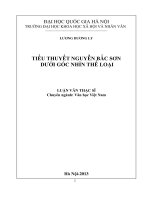 Tiểu thuyết Nguyễn Bắc Sơn dưới góc nhìn thể loại