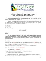 HỎI  ĐÁP VỀ QUY TẮC BIÊN MỤC AACR2, DDC, TIÊU ĐỀ CHỦ ĐỀ VÀ MARC 21