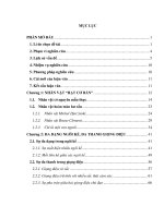 Nghệ thuật trần thuật trong Hạt cơ bản của Michel Houellebecg.PDF