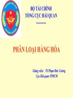 Bộ tài chính tổng cục hải quan, phân loại hàng hóa