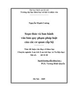 Soạn thảo và ban hành văn bản quy phạm pháp luật của các cơ quan cấp bộ