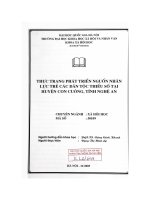 Thực trạng phát triển nguồn nhân lực trẻ các dân tộc thiểu số tại huyện Con Cuông, tỉnh Nghệ An