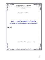 BIỆN PHÁP QUẢN LÝ NÂNG CAO  CHẤT  LƯỢNG  ĐỘI  NGŨ GIÁO VIÊN TRƯỜNG TIỂU HỌC_Tiểu luận tốt nghiệp cuối khóa BD nghiệp vụ QLGD