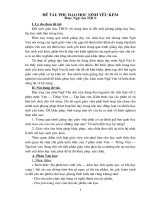 SKKN Một số biện pháp phụ đạo HS yếu môn văn 8 ở THCS