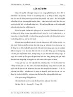 Tiểu luận môn hệ phân tán BÀI TOÁN BÃI ĐẬU XE Ô TÔ & VẤN ĐỀ ĐỒNG BỘ HÓA GIỮA CÁC TIẾN TRÌNH