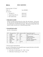 bài báo cáo sản xuất chất tẩy rửa