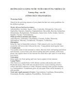 HƯỚNG dẫn LƯỢNG nước tưới CHO TỪNG NHÓM cây xương rồng  sen đá