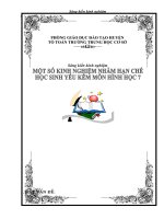 Kinh nghiệm hạn chế HS yếu kém môn Toán ở THCS