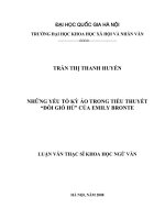 Những yếu tố kỳ ảo trong tiểu thuyết Đồi gió hú của Emily Bronte