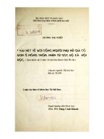 Vài nét về đời sống người phụ nữ già cô đơn ở nông thôn, nhìn từ góc độ xã hội (Qua khảo sát ở một số địa bàn thuộc tỉnh Hà Tây