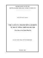 Việc làm của thanh niên lao động tự do từ nông thôn ra thành phố (qua khảo sát tại quận Đống Đa