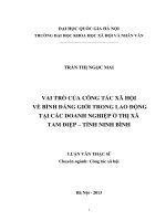 Vai trò của công tác xã hội về bình đẳng giới trong lao động tại các doanh nghiệp ở thị xã Tam Điệp - tỉnh Ninh Bình
