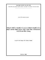 Nhận thức nghề và lựa chọn nghề của học sinh THPT dân tộc nội trú tỉnh Bắc Giang