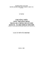 CHỢ NÔNG THÔN CHÂU THỔ SÔNG HỒNG TRONG QUÁ TRÌNH CHUYỂN ĐỔI KINH TẾ - XÃ HỘI THỜI KỲ ĐỔI MỚI (NGHIÊN CỨU TRƯỜNG HỢP CHỢ NINH HIỆP, CHỢ HỮU BẰNG, CHỢ THỔ TANG