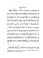 Giải pháp hoàn thiện chính sách sản phẩm tại Công ty CP Du Lịch và Xuất Nhập Khẩu Lạng Sơn