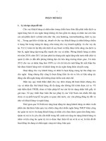 Quản trị rủi ro tín dụng trong cho vay khách hàng cá nhân tại Sở giao dịch ngân hàng Ngoại thương Việt nam
