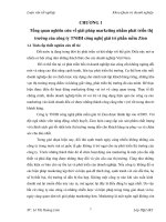 Giải  pháp marketing nhằm phát triển thị trường của công ty TNHH công nghệ giải trí phần mềm Zion