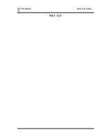 Lương và công tác trả lương trong Công ty CNTT Bạch Đằng