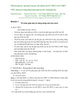 Thiết kế giáo án tập huấn công tác chủ nhiệm cho giáo viên THCS và THPT