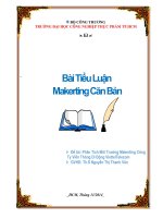 Tiểu luận: Phân tích môi trường Marketing tại công ty viễn thông di động Viettel Telecom