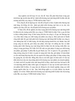 Phát triển thương mại mặt hàng thiết bị điện trên thị trường miền Bắc của công ty TNHH thiết bị điện Việt á