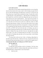 Giải pháp phát triển dịch vụ E-banking tại các NHTM Việt Nam