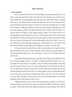 Giải pháp phòng ngừa và giảm thiểu rủi ro kinh doanh tại công ty cổ phần cơ khí 19-8