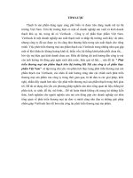 Phát triển thương mại sản phẩm thạch trên thị trường Hà Nội của công ty cổ phần thực phẩm Việt Nam