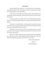 Phát triển kênh phân phối tuyến sản phẩm quần Jeans của công ty cổ phần thương mại và thời trang quốc tế DIPIJEE trên thị trường Hải Dương