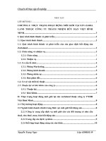 hoàn thiện hoạt động môi giới bất động sản tại sàn zarialand thuộc công ty trách nhiệm hữu hạn VIỆT BÌNH MINH