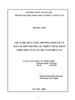 Quan hệ giữa tăng trưởng kinh tế và bảo vệ môi trường tự nhiên với sự phát triển bền vững ở Việt Nam hiện nay