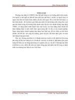 Giải pháp phát triển các dịch vụ hỗ trợ sau bán của công ty CP thương mại điện tử Bảo Kim