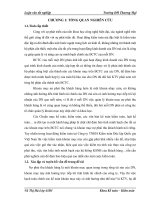 Kiểm toán nợ phải thu khách hàng trong kiểm toán báo cáo tài chính tại Công ty TNHH Kiểm toán độc lập quốc gia Việt Nam (KTĐLQG)