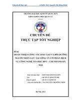 Hoàn thiện công tác đào tạo và bồi dưỡng nguồn nhân lực tại công ty cổ phẩn dịch vụ công nghệ thông tin HPT