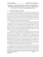 Giải pháp phát triển kênh phân phối nông sản của công ty TNHH thương mại và đầu tư Việt Liên tại thị trường Hà Nội