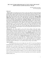 Điều trị gãy bong điểm bám chày của dây chằng chéo trước khớp gối bằng chỉ PDS néo ép qua nội soi
